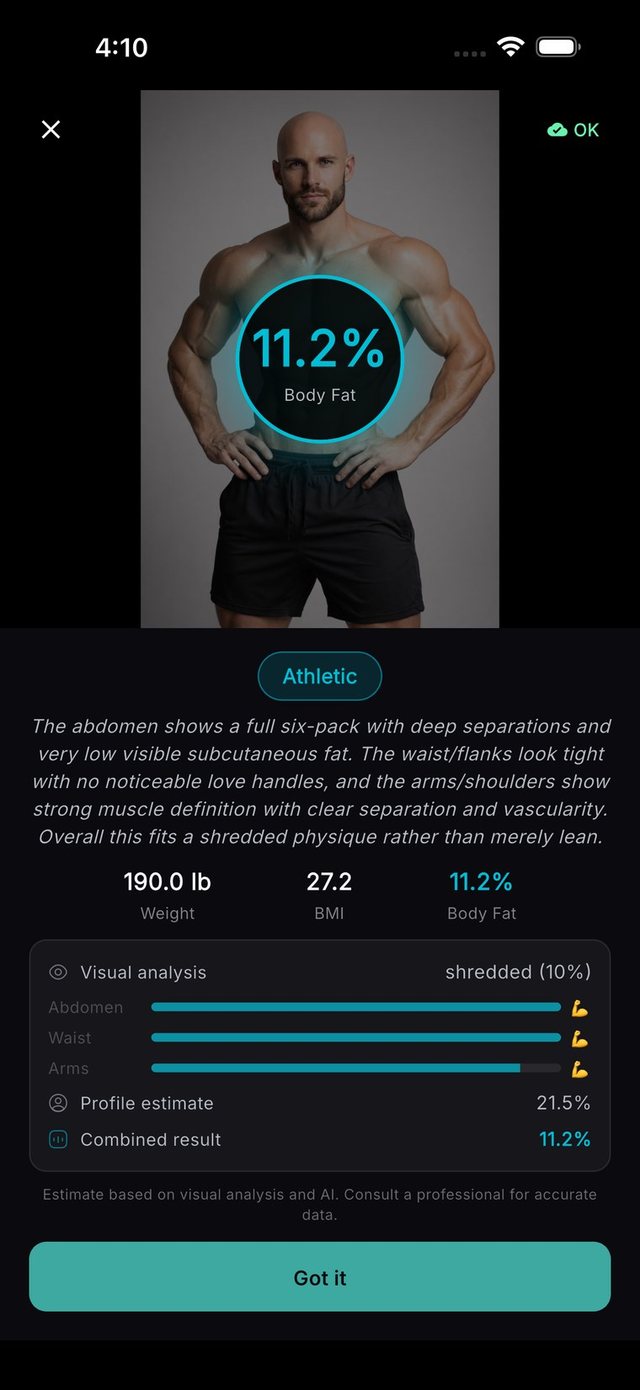 Body composition scan with body fat percentage